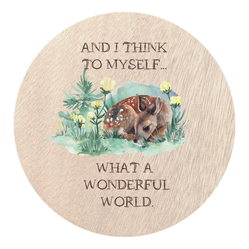 Lake Life Coasters 4 Pack Set 1