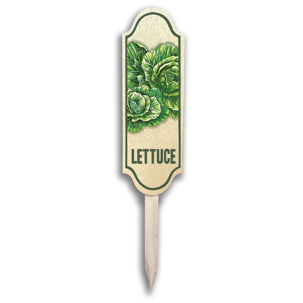 Colorful Garden Markers
