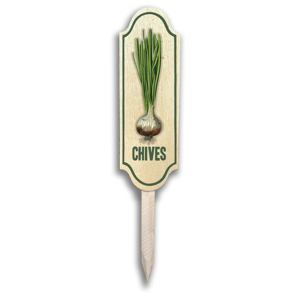 Colorful Garden Markers