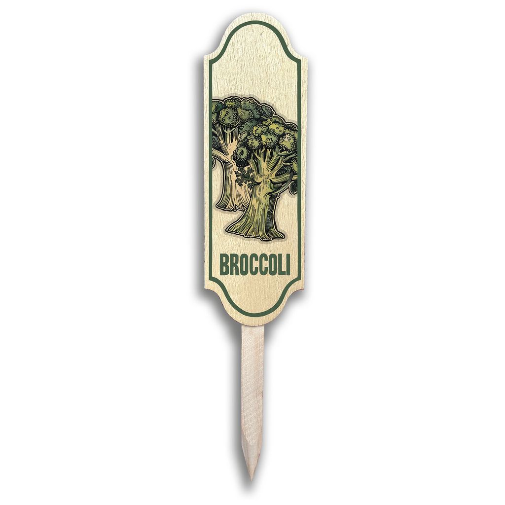 Colorful Garden Markers