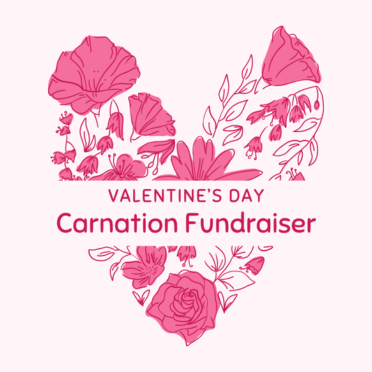 Valentine's Day Carnation Delivery - AAI Location Only!