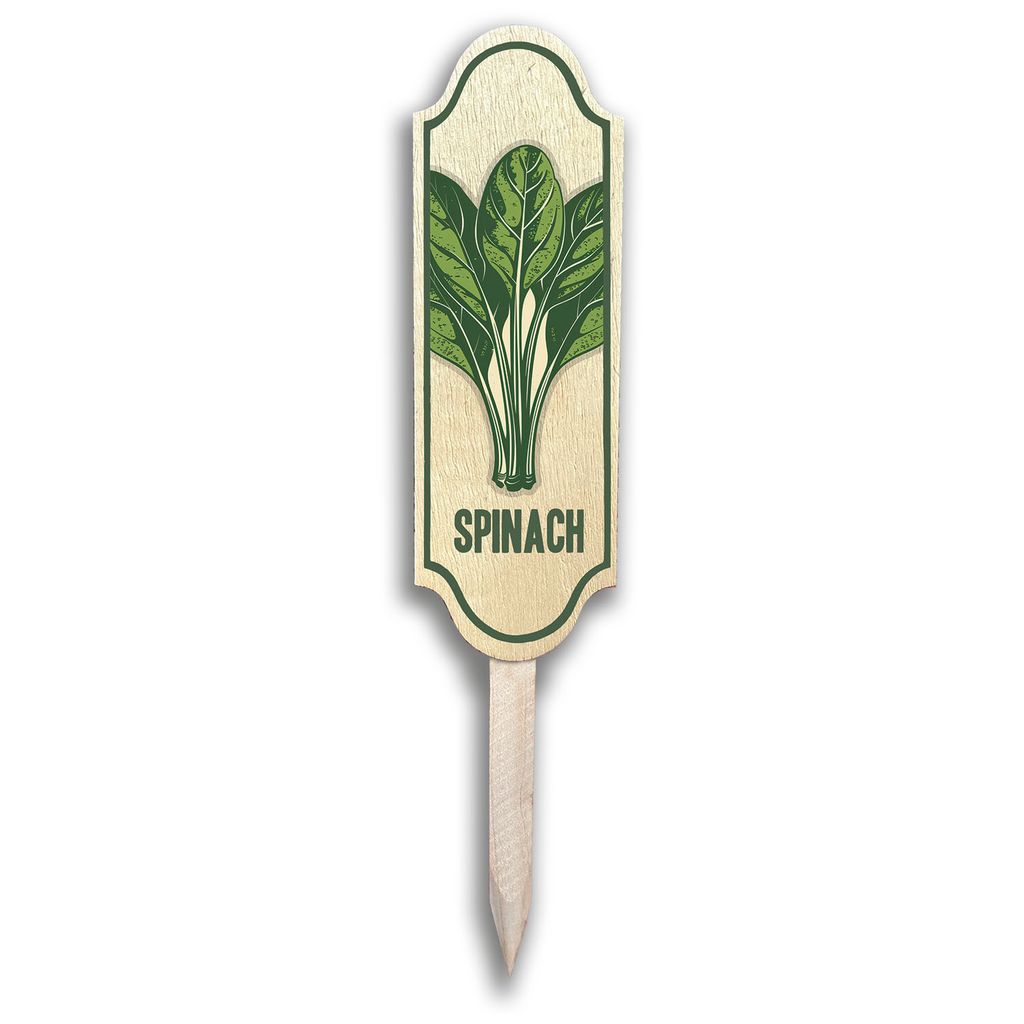 Colorful Garden Markers