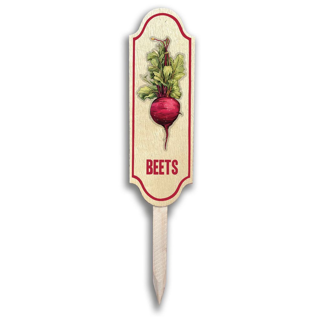 Colorful Garden Markers